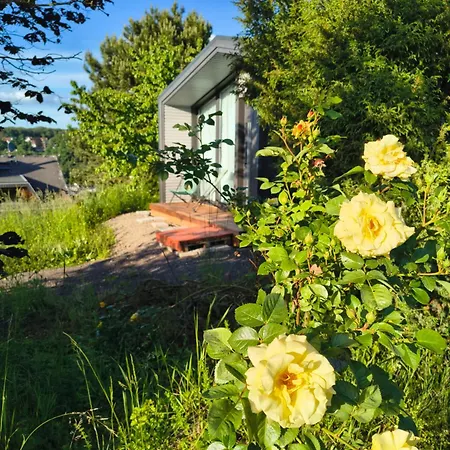 Tiny House Am Guckenberg In 度假居 *