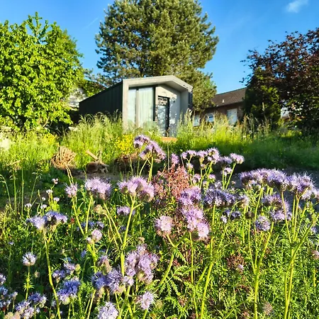 Tiny House Am Guckenberg In 度假居